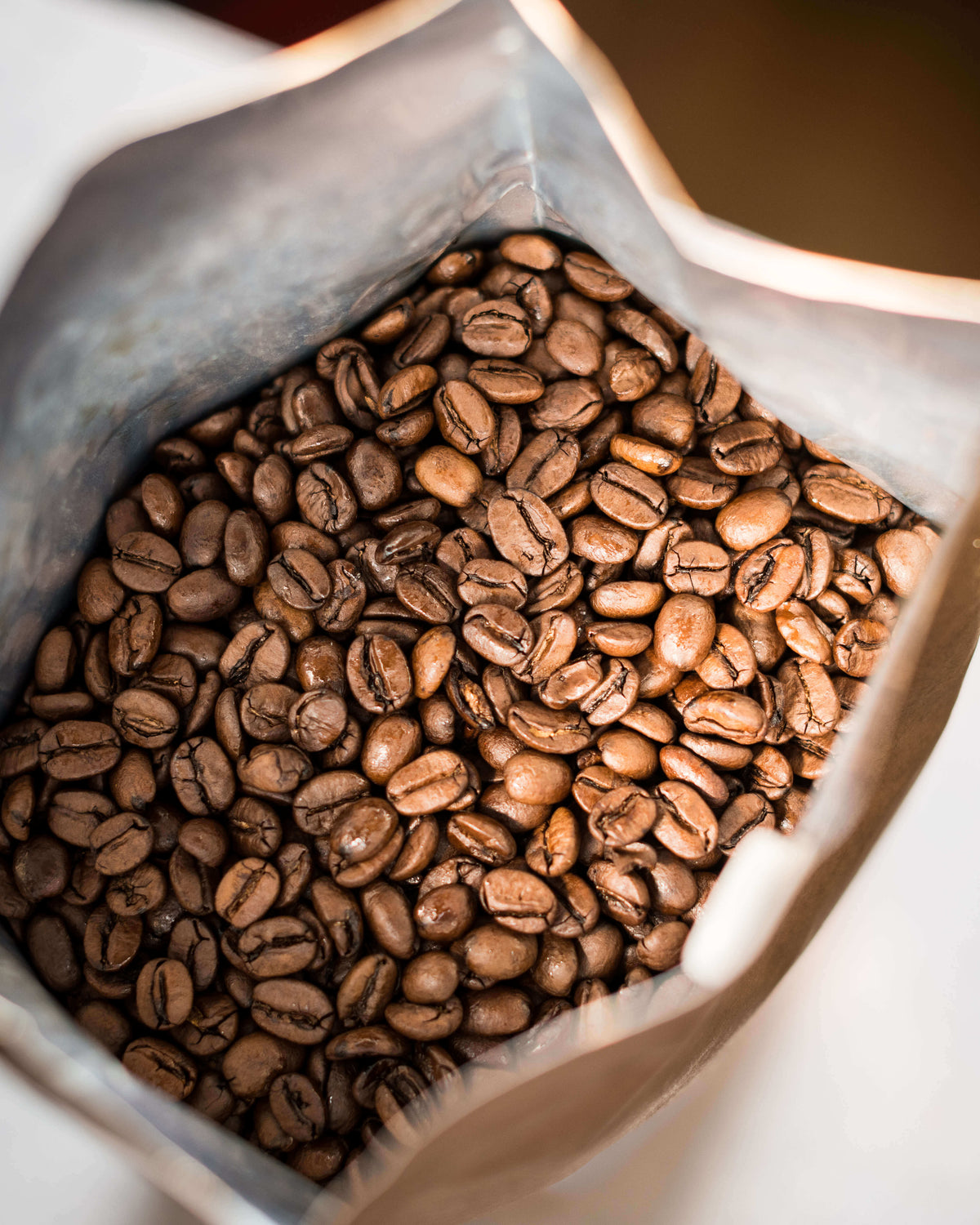Coffee Grinder Buyer's Guide