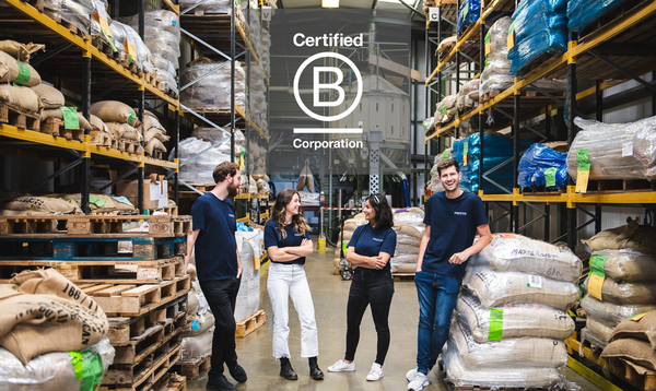 What is B Corp certification and why does it matter?